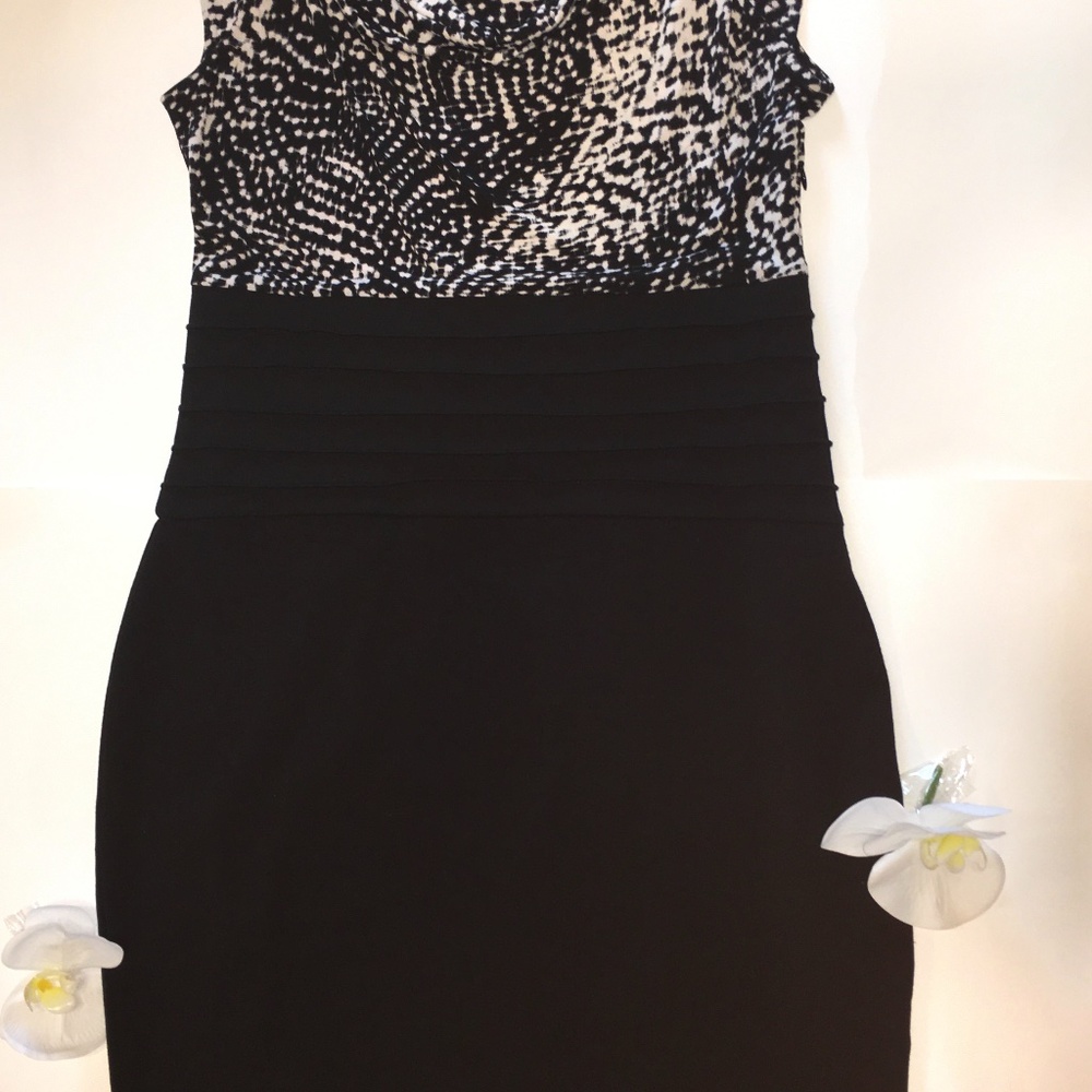 Daisy Fuentes Medium Dress